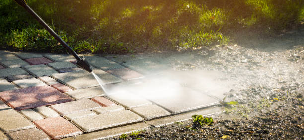 Best Dumpster Area Cleaning  in Sunman, IN