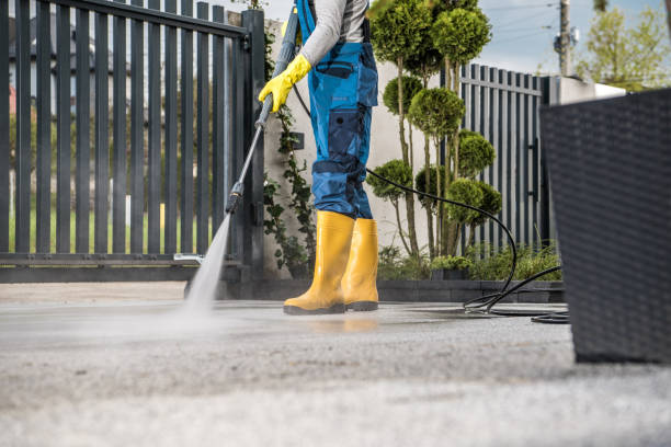 Best Sidewalk and Walkway Cleaning  in Sunman, IN