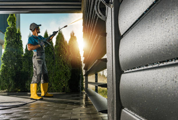 Best Roof Washing  in Sunman, IN